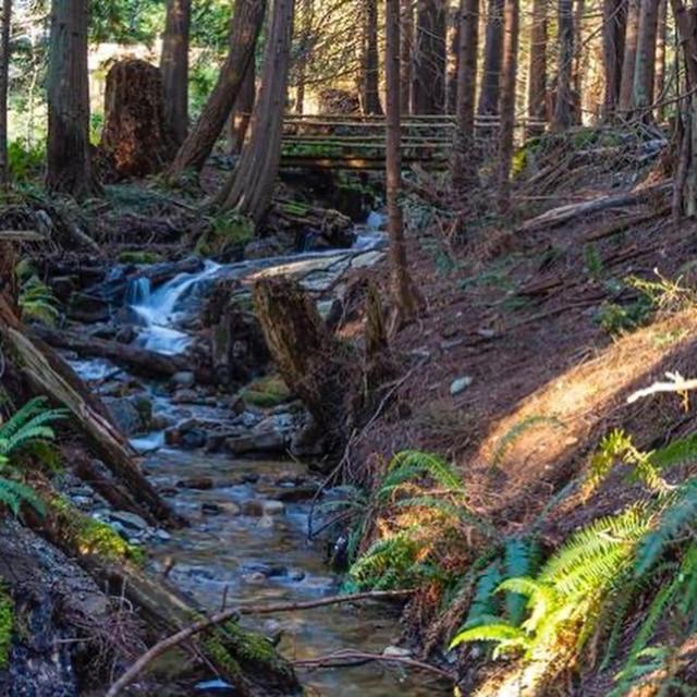 Forest Haven Hideaway Roberts Creek Exterior foto